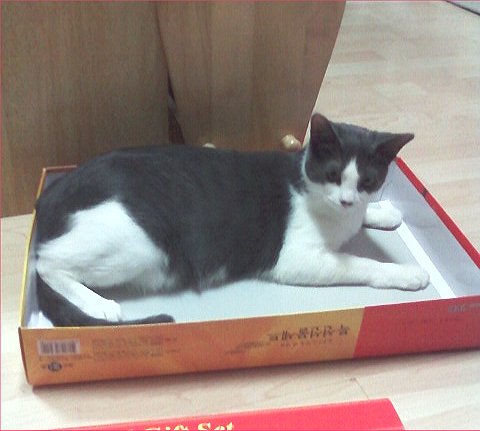 사용자 삽입 이미지