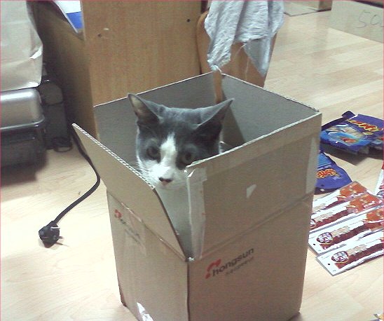 사용자 삽입 이미지